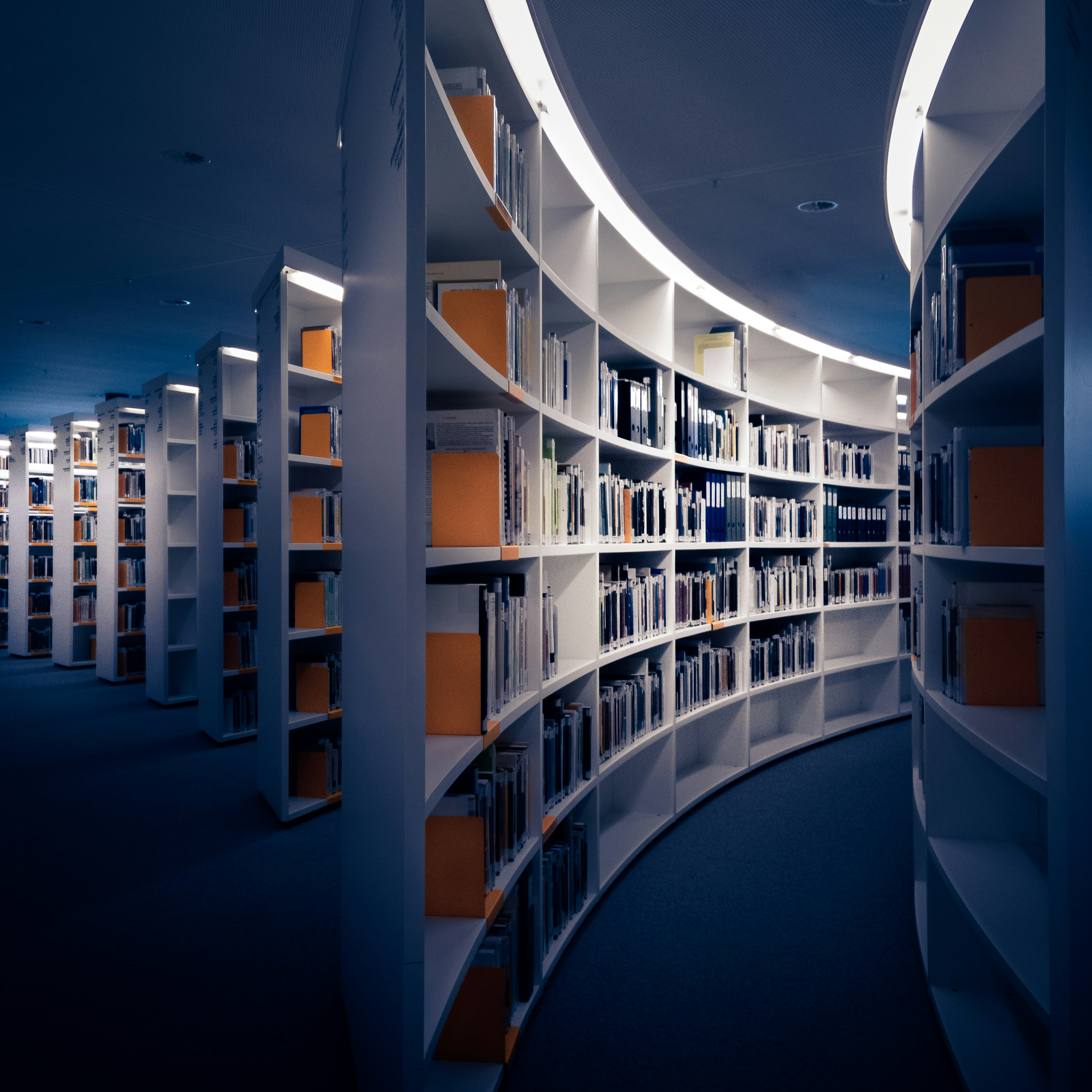 How to Validate Academic Emails in 2025:  Best Practices and APIs